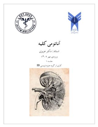 تصویر  دستگاه کلیه >>> آناتومی (کد 13071)