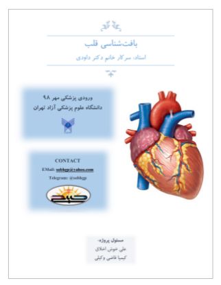 تصویر  دستگاه قلب و عروق >>> بافت شناسی (کد 12033)